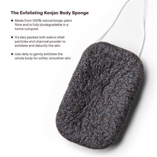 EVR 002 01132025 Everist PDP Images ExfoliatingKonjacSponge 2